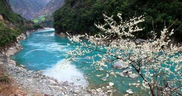 冲浪骑士